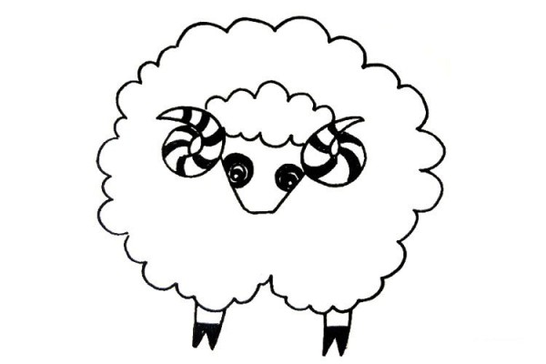 nice looking sheep