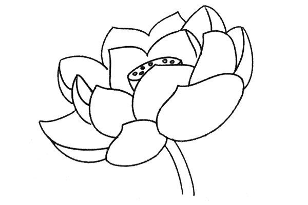 Fresh lotus simple strokes drawing tutorial