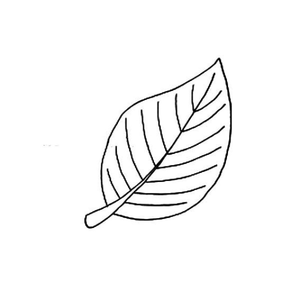 Childrens simple drawing of leaves