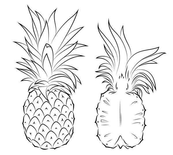 Simple drawing method of pineapple