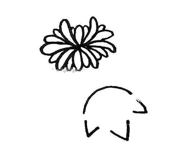 Learn to draw beautiful chrysanthemums in simple strokes