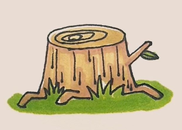 Simple drawing tree stump