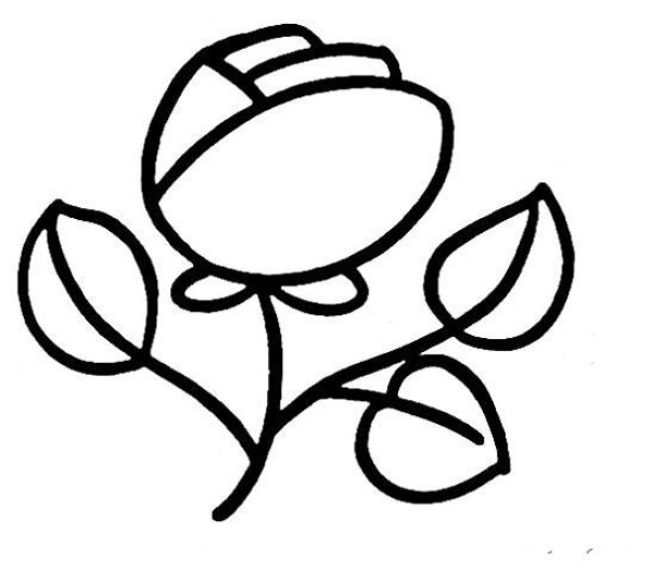 Step by step sketch of how to draw a rose