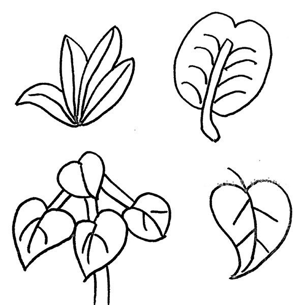 36 simple drawing pictures of leaves