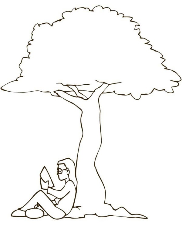 Complete collection of simple plant drawings and simple drawings of big trees