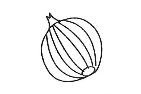 Complete collection of simple onion drawings and drawing steps