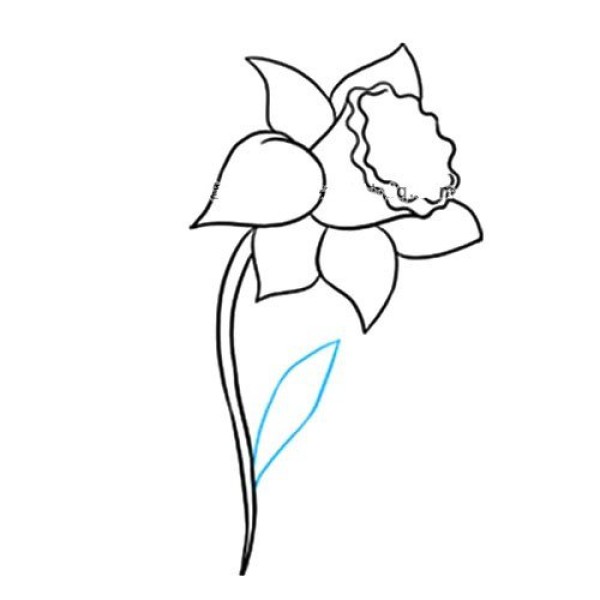 Simple drawing of narcissus that is easy to learn