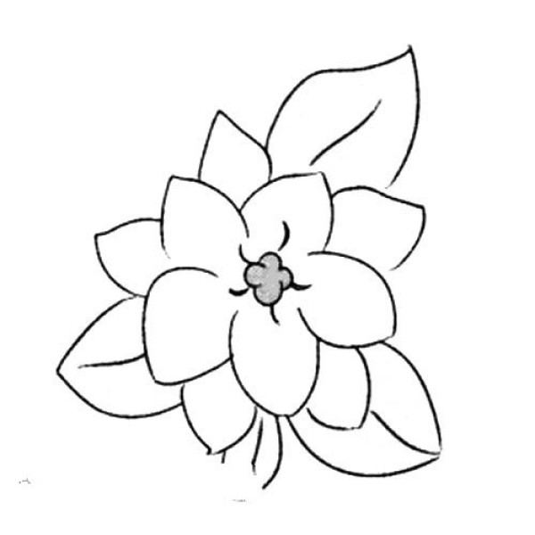 Gardenia simple strokes drawing tutorial