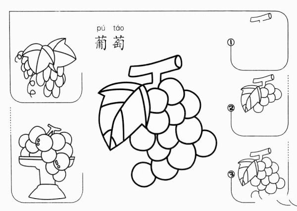 How to draw grapes