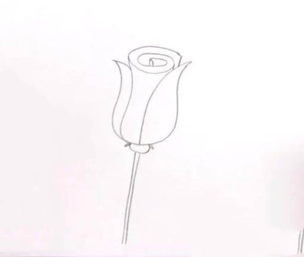 Draw a rose in simple steps