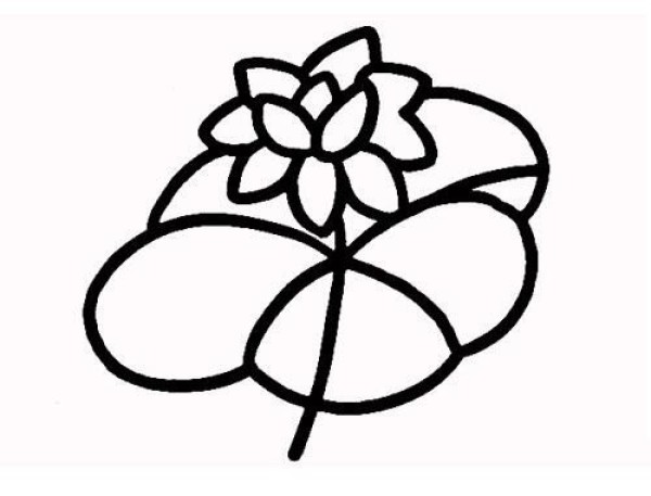 Simple drawing of blooming lotus