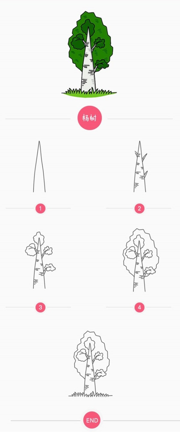 How to draw poplar tree in simple strokes