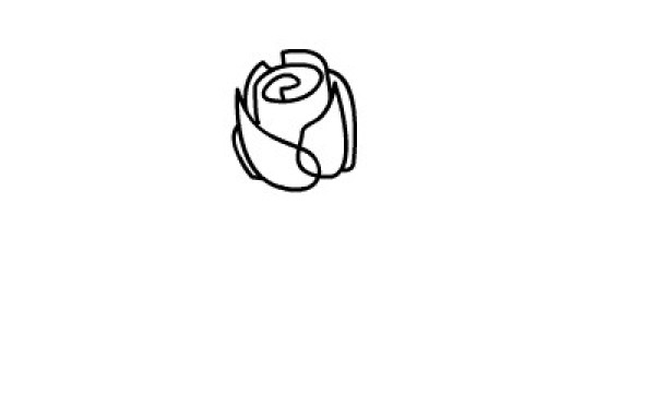 How to draw simple roses