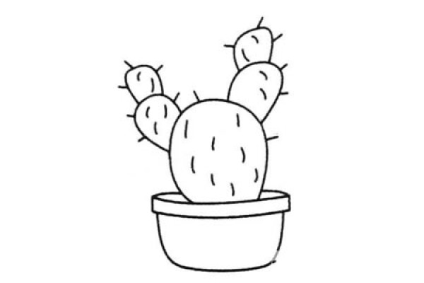 Cactus Bonsai Simple Drawing Picture