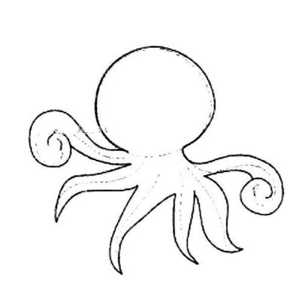 How to draw animals Octopus