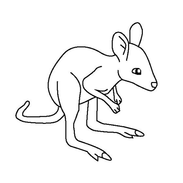 Animal simple drawings Cute little kangaroo simple drawing pictures