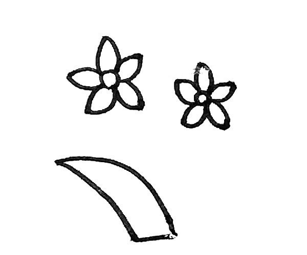 Learn to draw simple daffodils