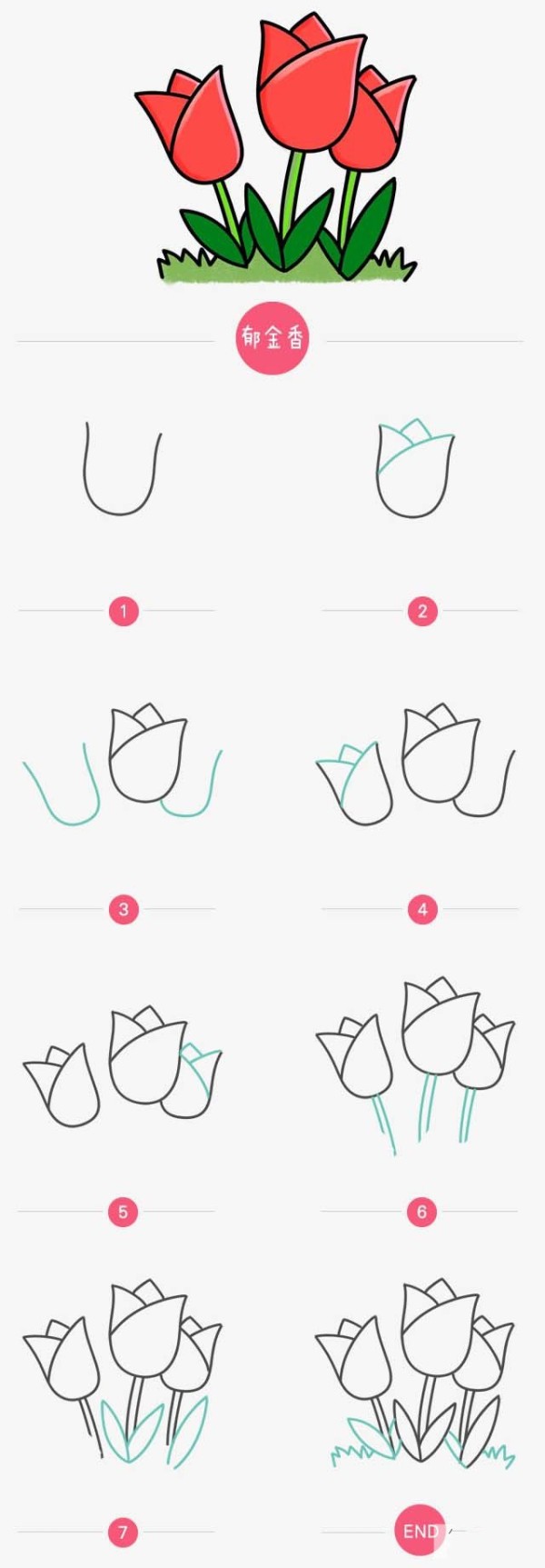 Simple drawing tutorial Tulip simple drawing step by step diagram