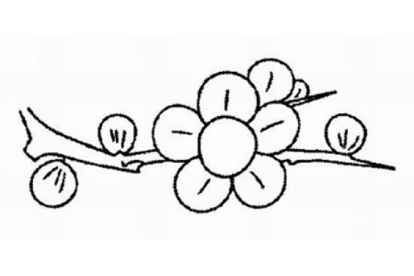 How to draw plum blossoms