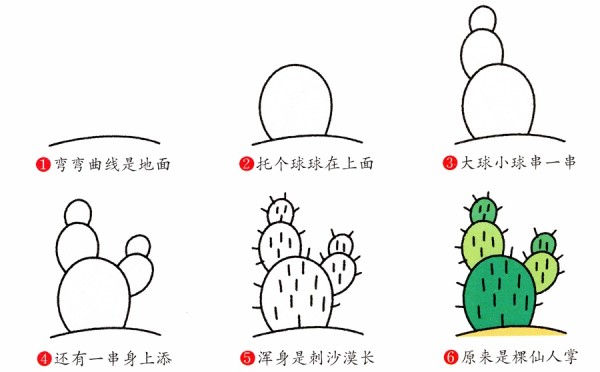 Desert cactus simple drawing steps