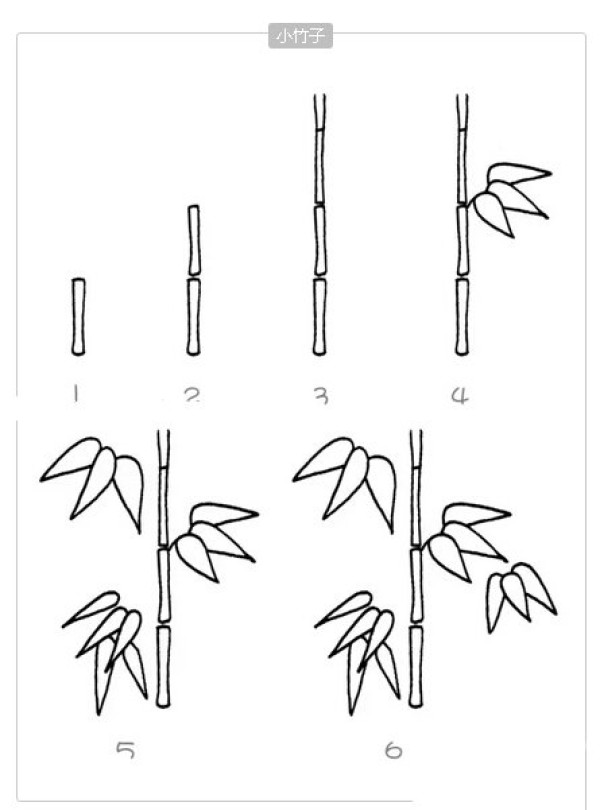 Simple drawing tutorial of small bamboo