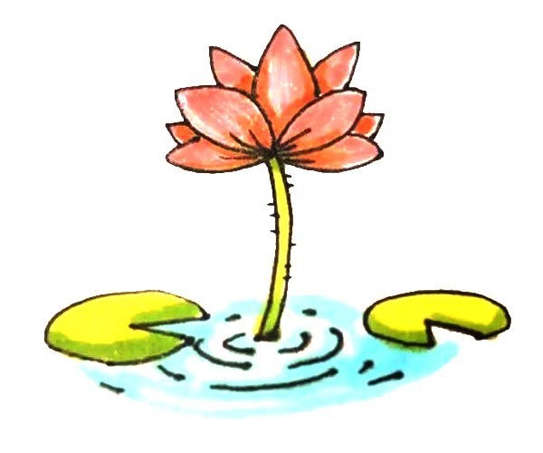 Children learn to draw lotus easily