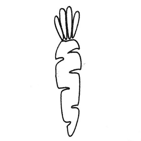 Complete collection of carrot simple strokes and drawing steps