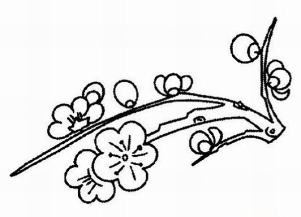 Hand drawn plum blossom simple strokes