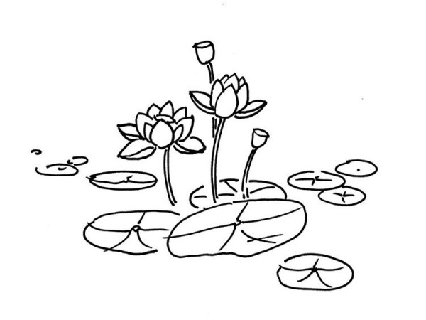 2 simple drawing pictures of lotus flowers