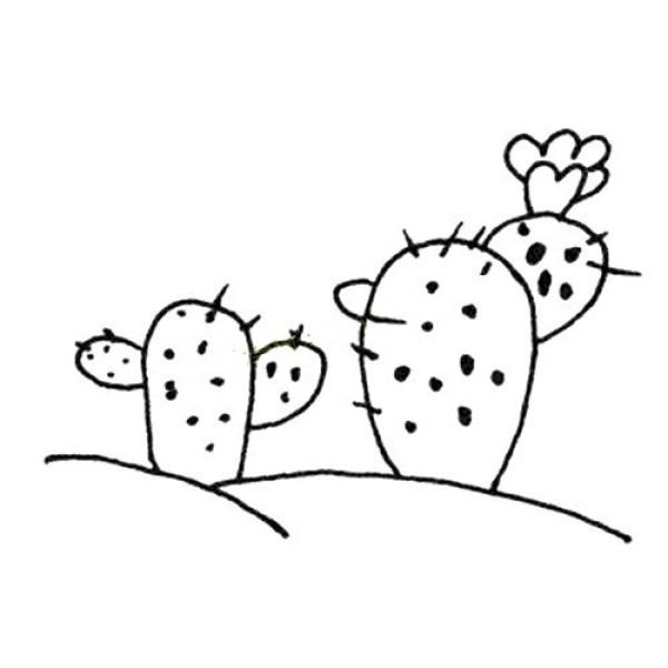 Beautiful simple drawing pictures of cactus