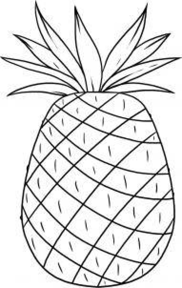 Fruit pineapple simple strokes picture