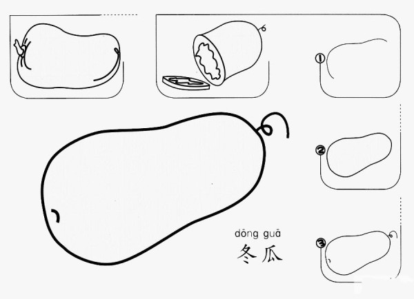 How to draw winter melon