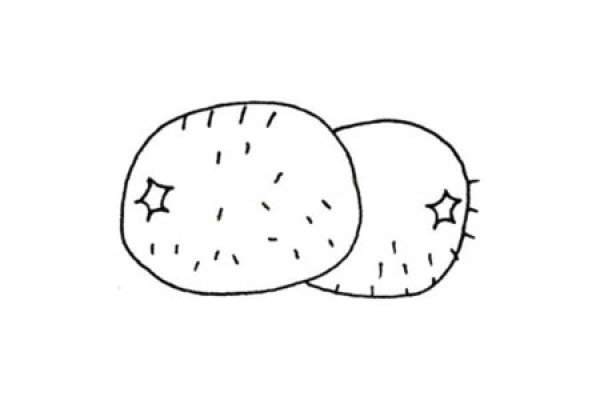 Simple plant simple drawings kiwi fruit simple drawing pictures