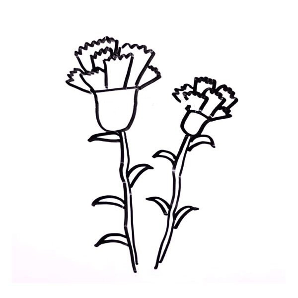 Mothers Day painting material Carnation simple drawing picture