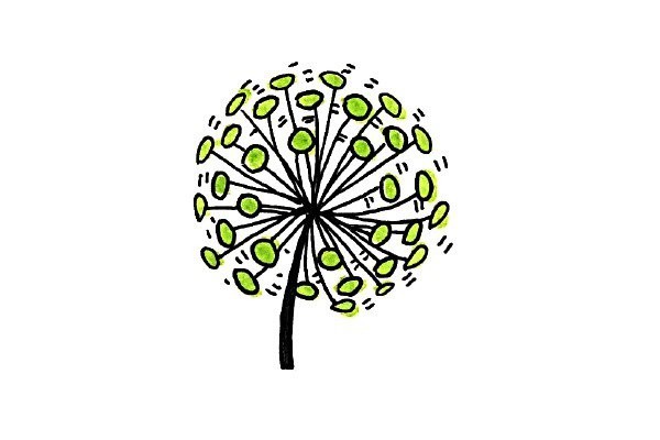 Simple and beautiful dandelion drawing