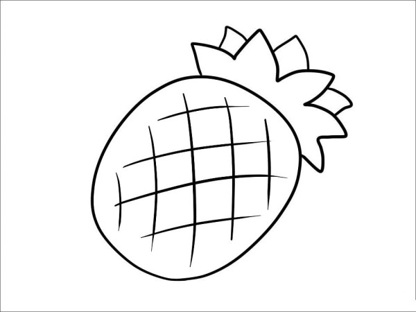 Complete collection of simple strokes of fruits