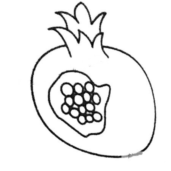 Complete collection of pomegranate simple strokes and drawing steps