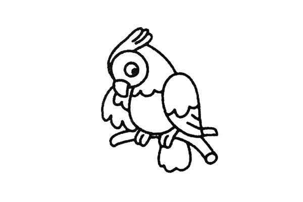 Learn to draw a parrot in four steps, simple and fun