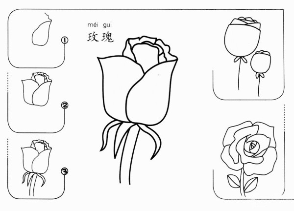 How to draw a rose