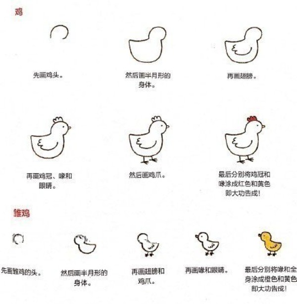 A set of simple drawing steps for drawing animals