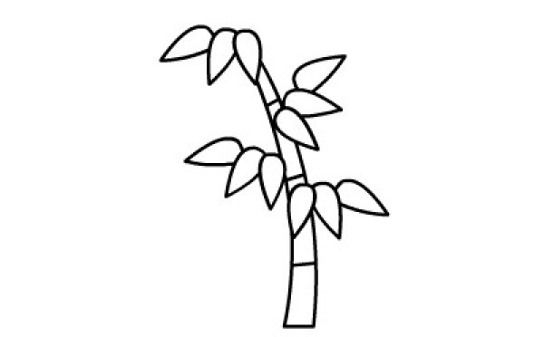 Childrens simple drawing pictures bamboo