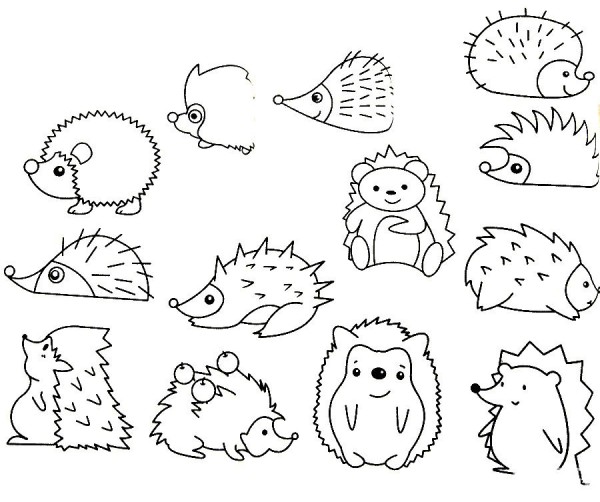 Complete collection of simple strokes of hedgehog and drawing steps