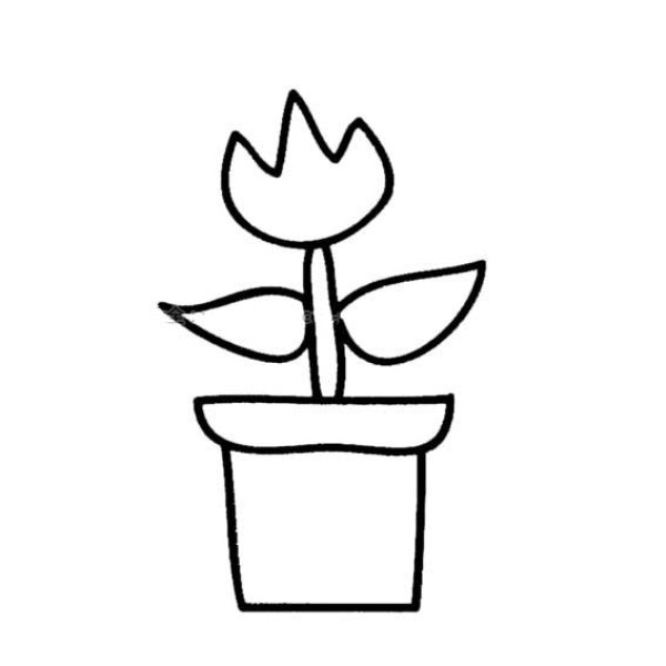 Simple drawing of small potted plant