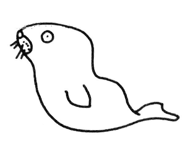 A set of cute simple drawing pictures of sea lions