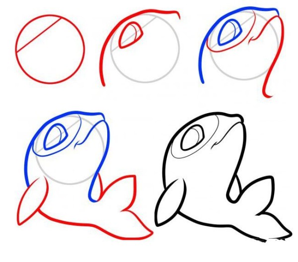 Step by step drawing of cute little dolphin