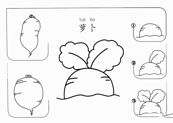 How to draw a radish