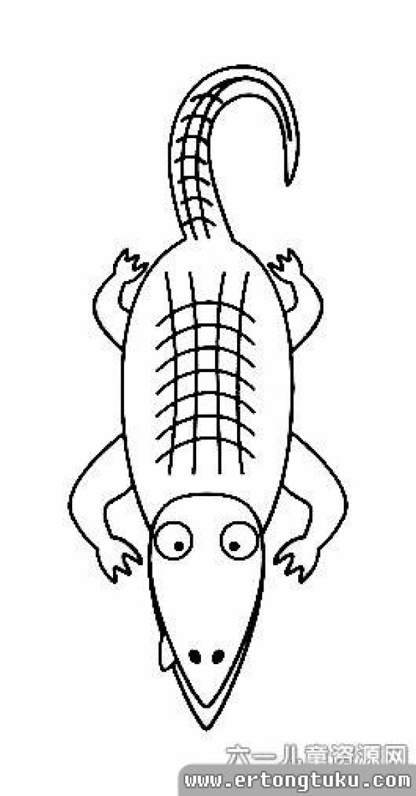 Cartoon crocodile simple drawing collection