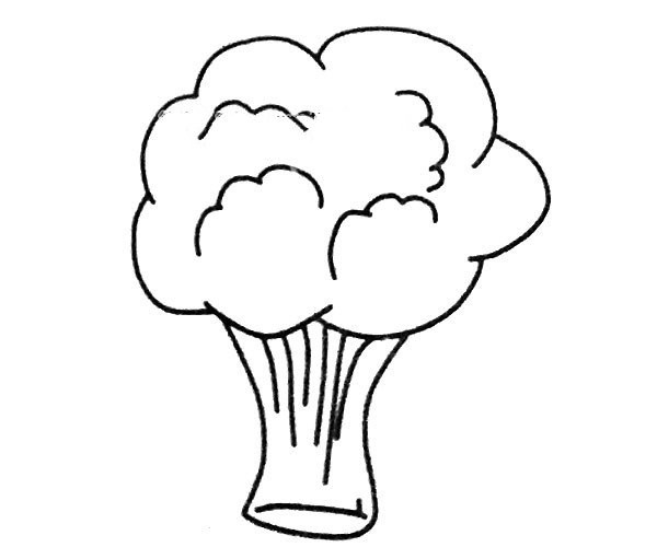 5 simple drawing pictures of broccoli