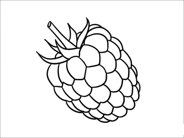 Raspberry simple strokes