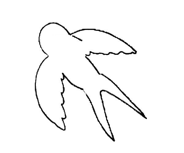 Learn to draw little swallows